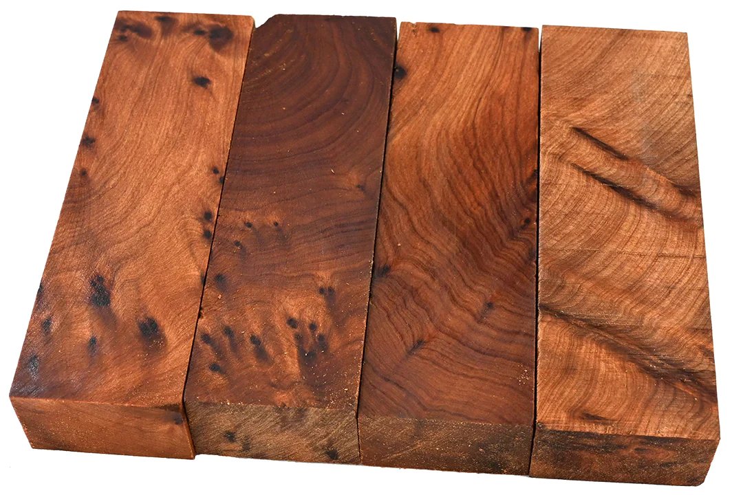 thuja-messergriffkantel-2026